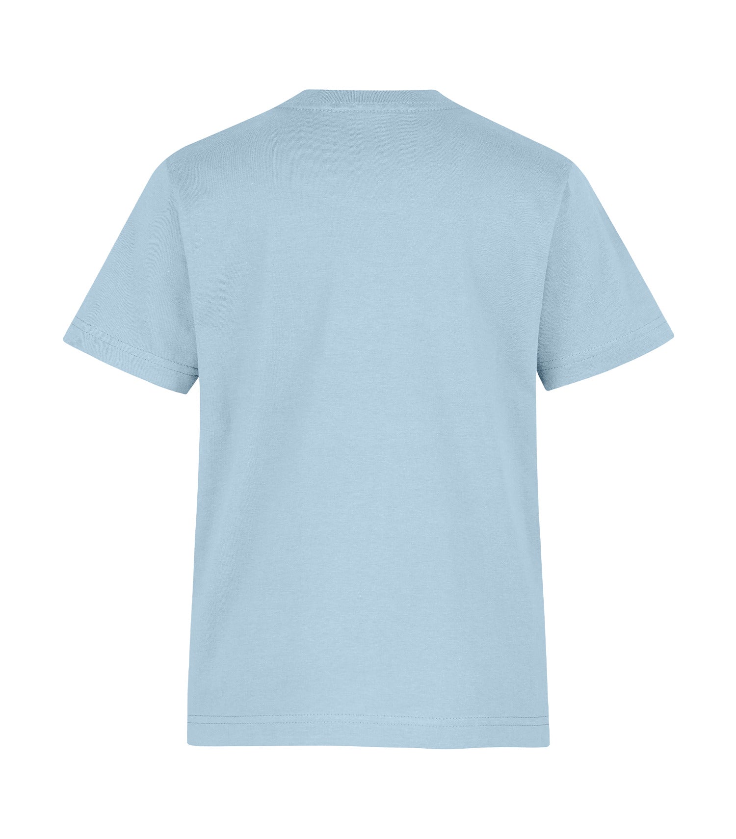 Light Blue-model Image