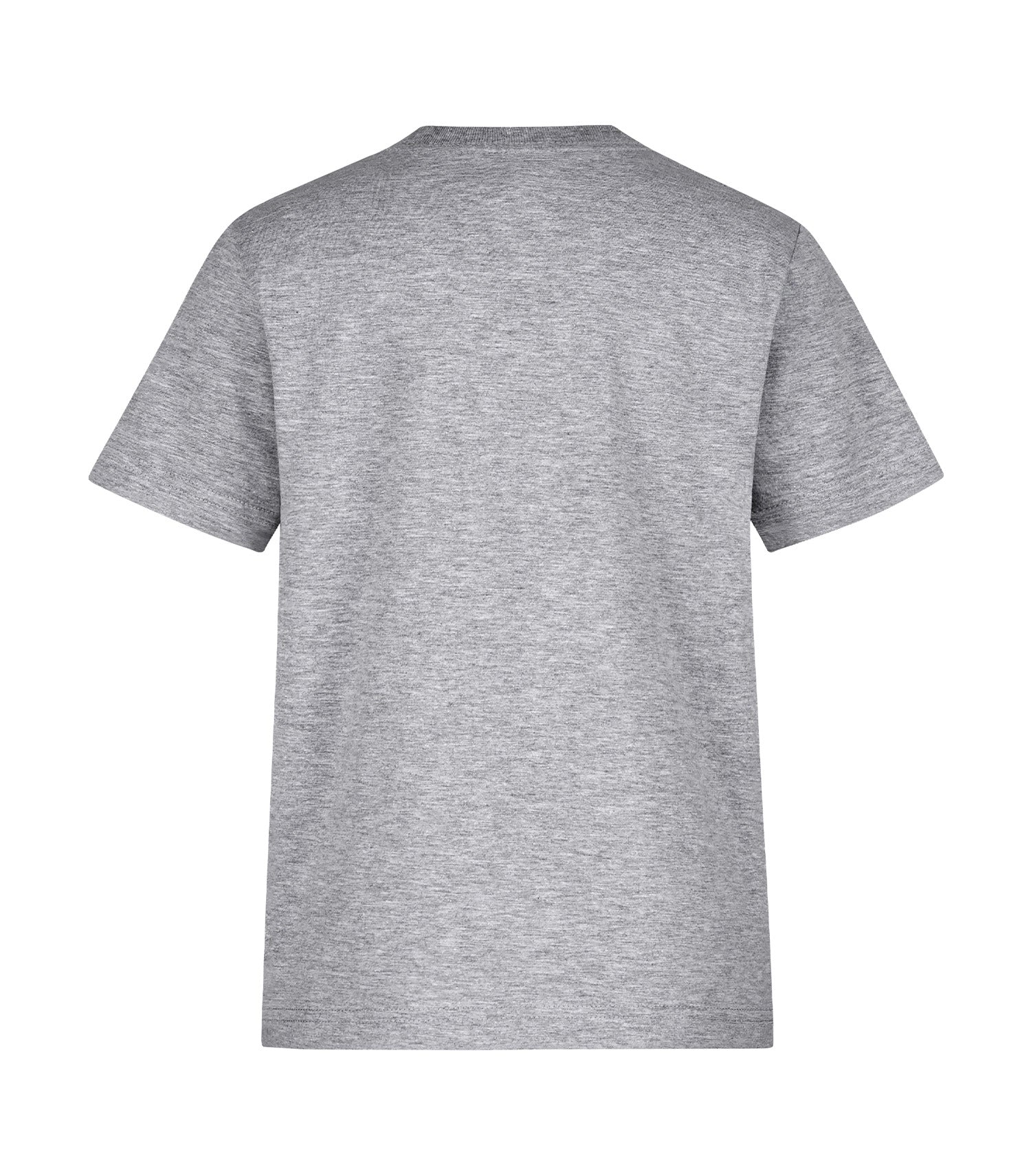 Sport Grey-model Image