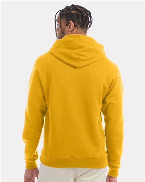 Gold-model Image