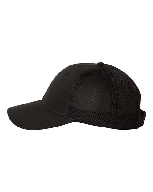 Black-model Image