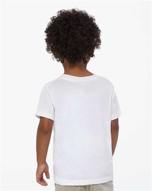 White-model Image