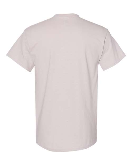 Ice Grey-model Image
