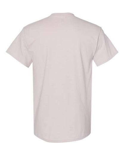 Ice Grey-model Image