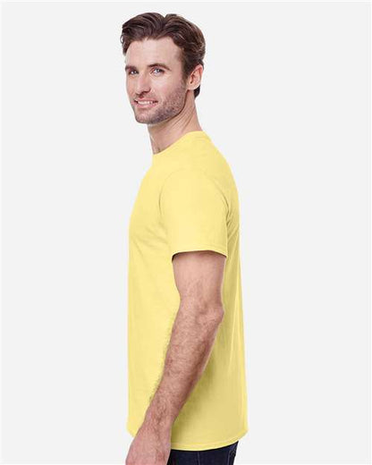 Cornsilk-model Image