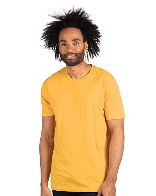 Gold-model Image