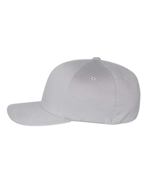 Silver-model Image