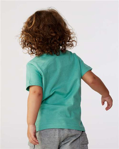 Saltwater-model Image