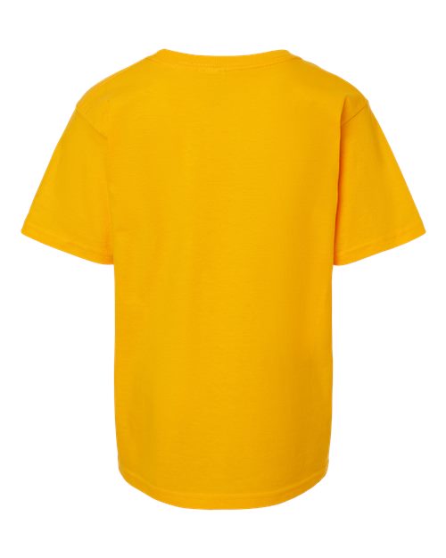 Gold-model Image