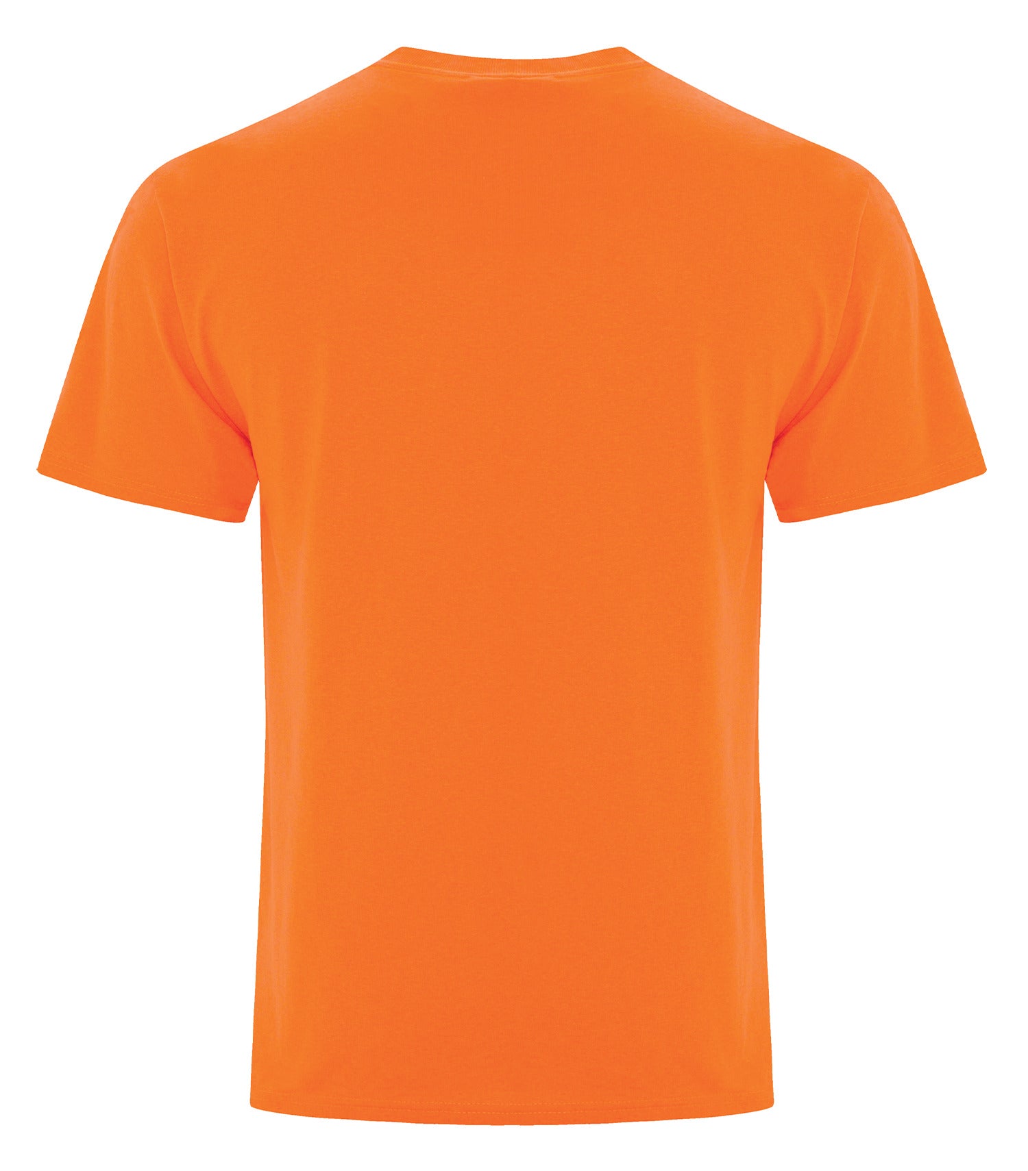 Safety Orange-model Image