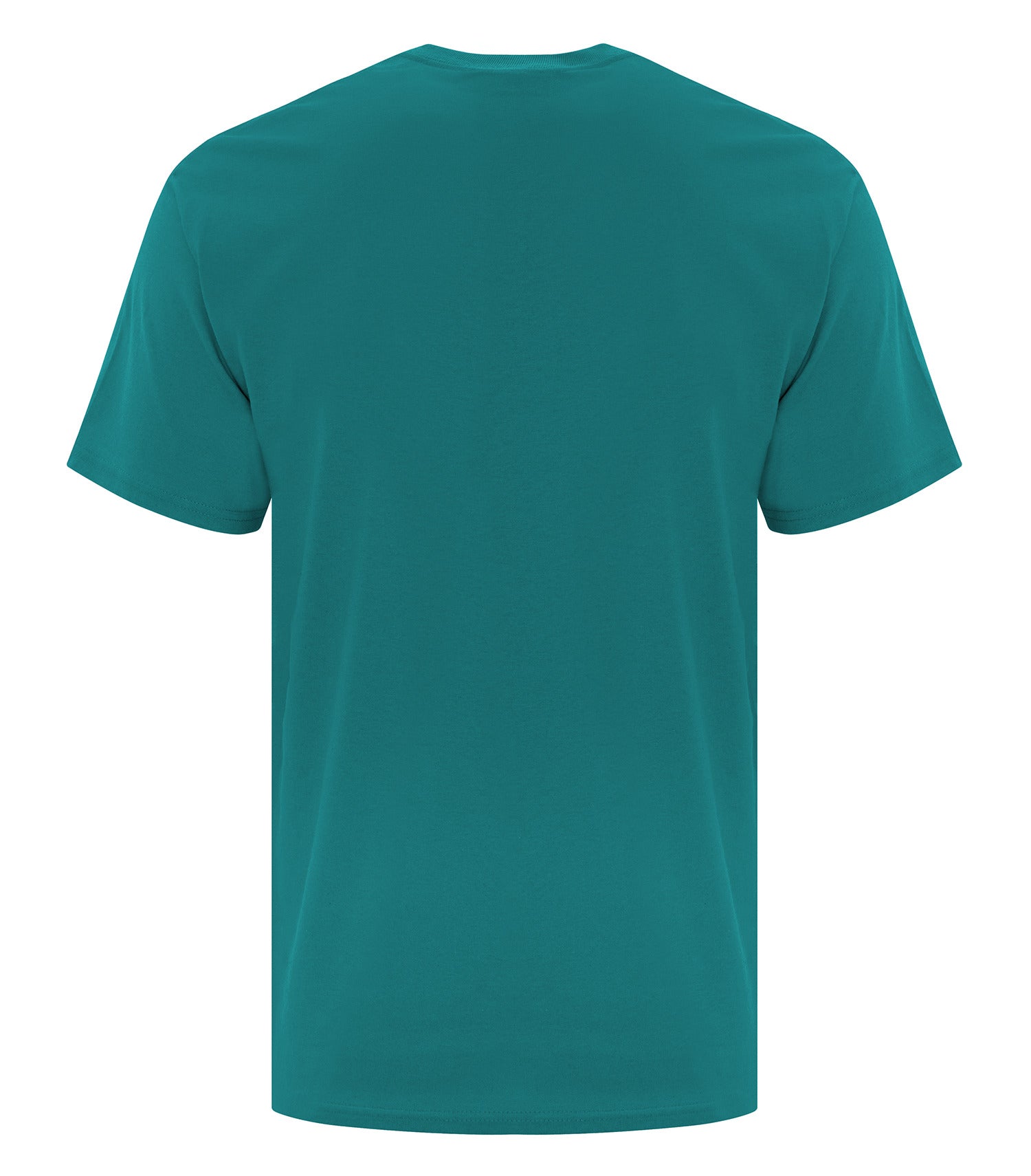 Teal-model Image