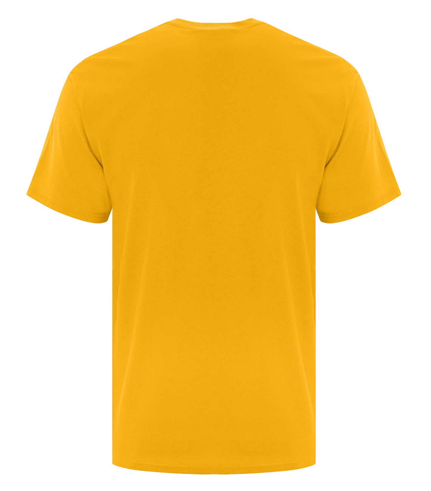 Team Gold-model Image