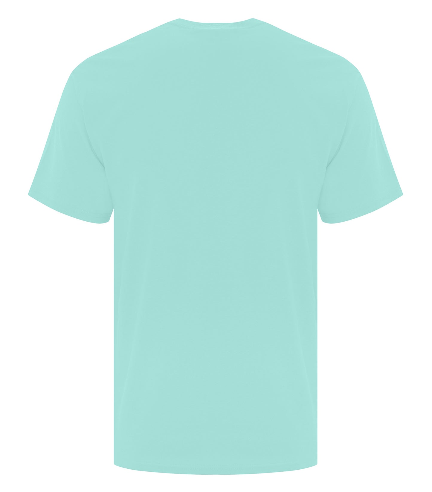 True Celadon-model Image