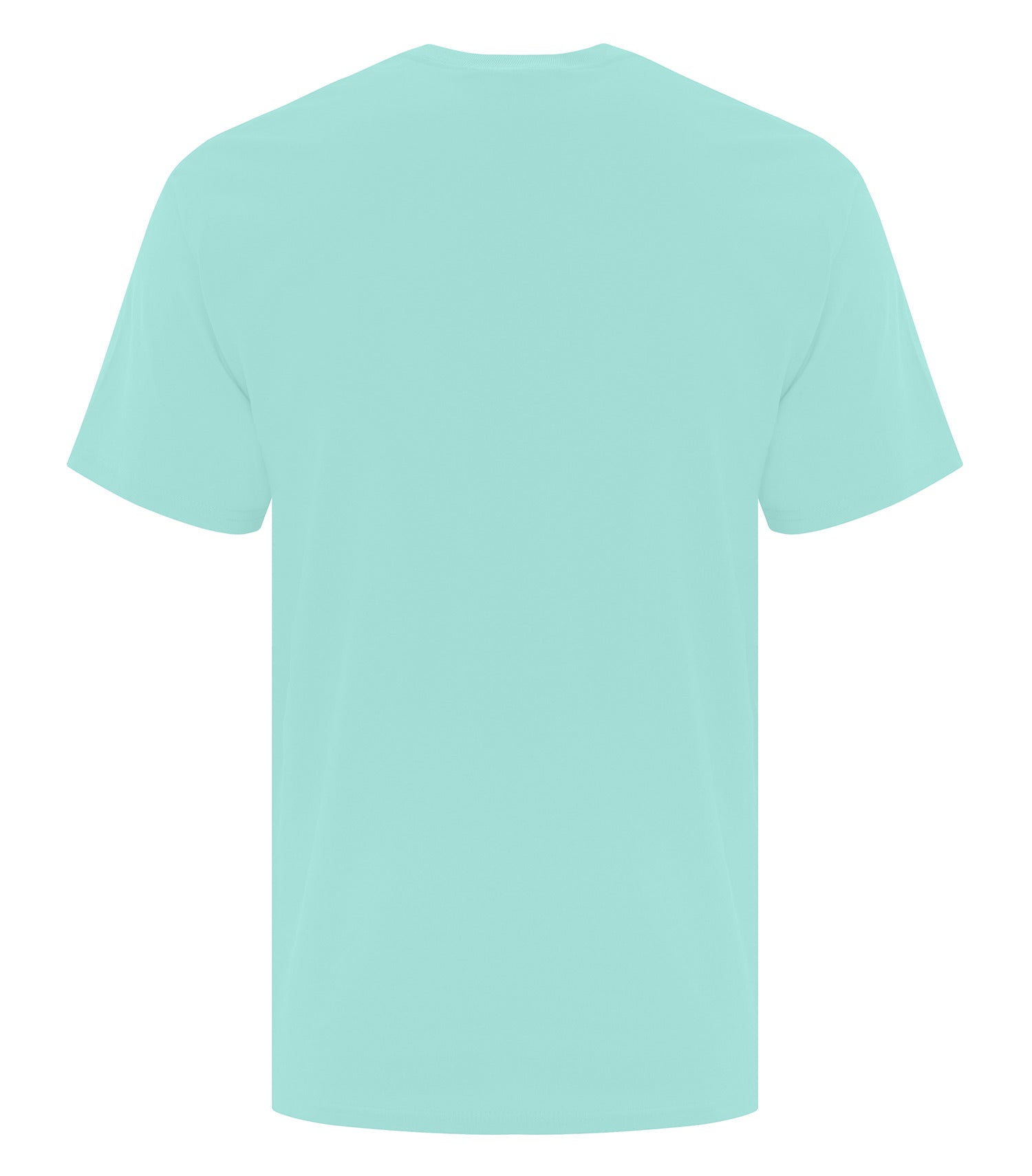 True Celadon-model Image