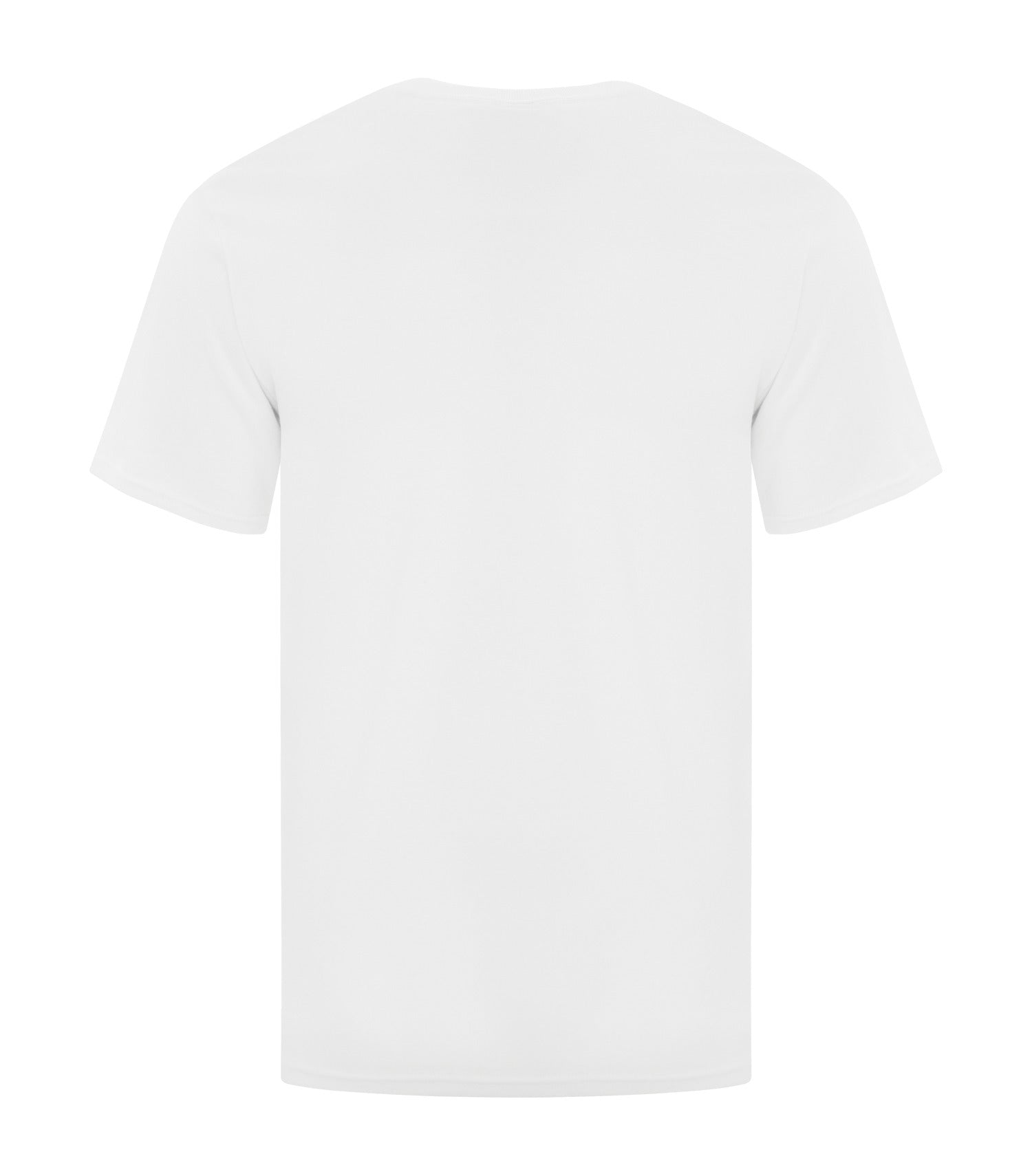 White-model Image