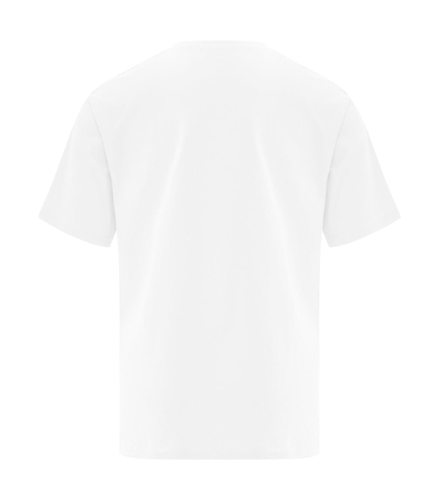 White-model Image