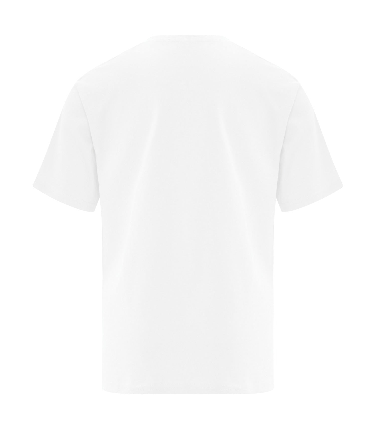 White-model Image