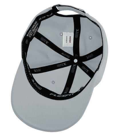 Silver-model Image
