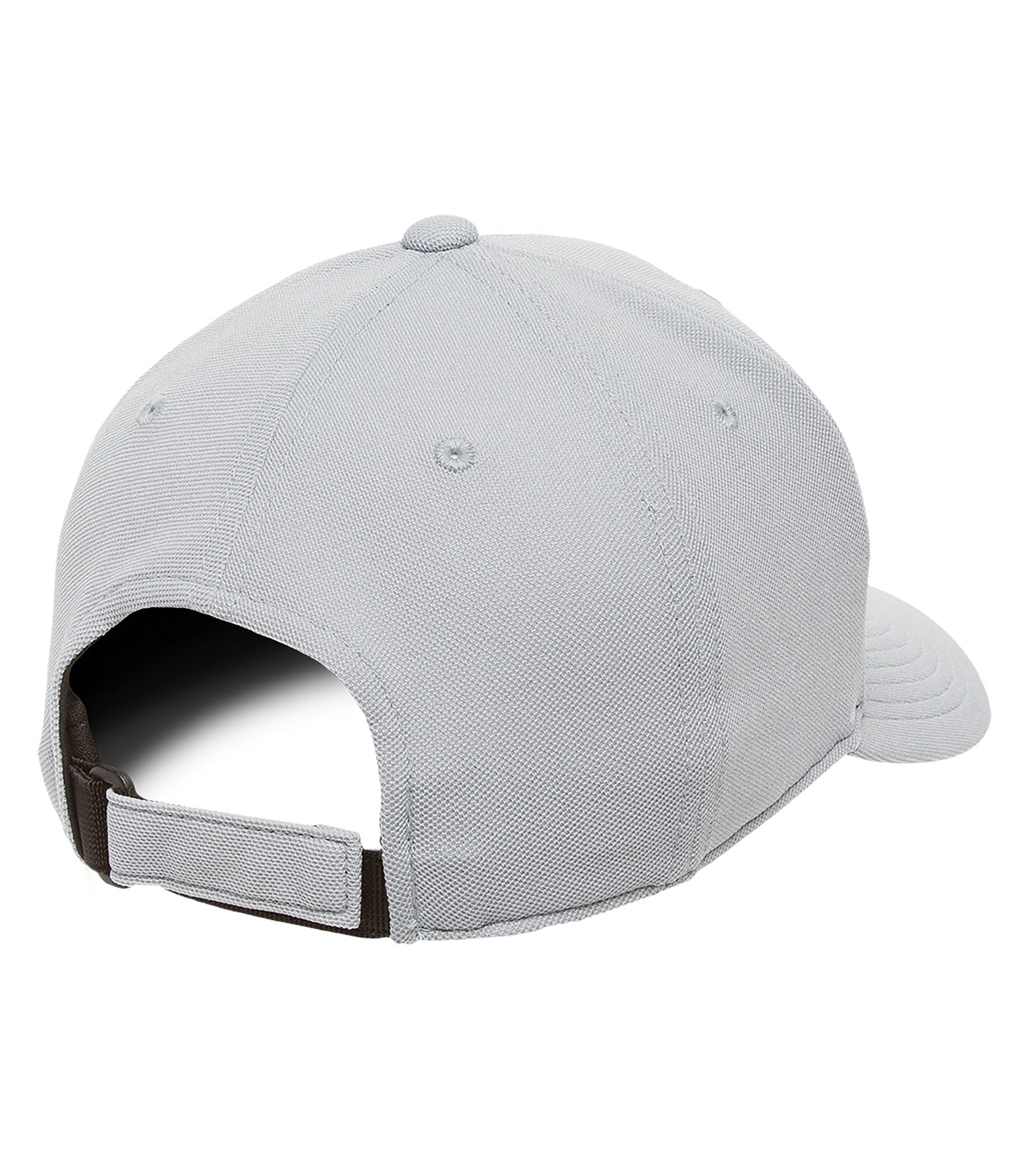 Silver-model Image