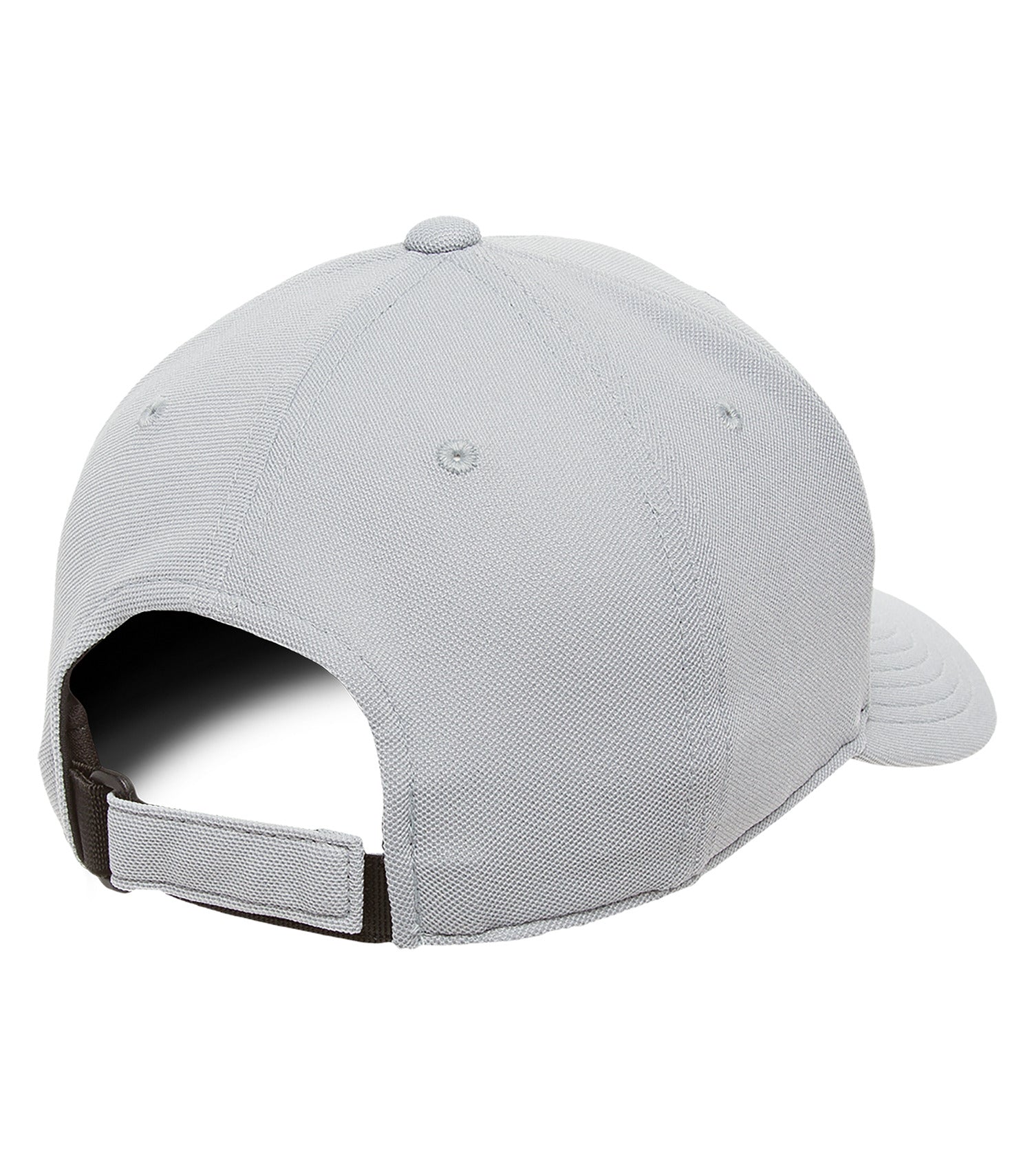 Silver-model Image