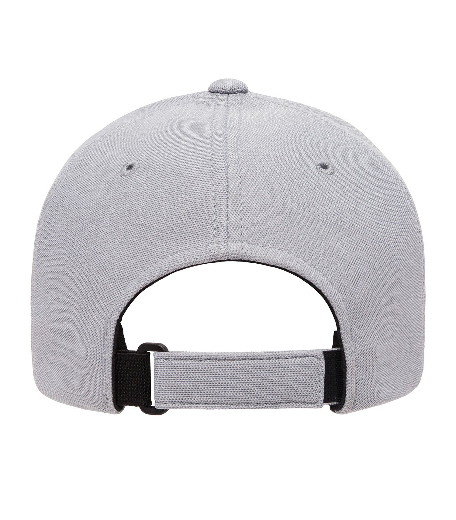 Silver-model Image