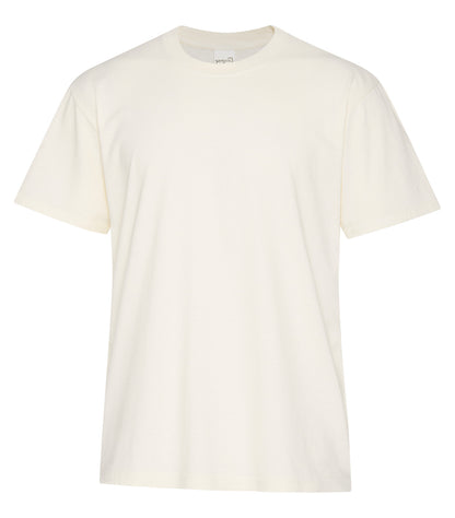 Ivory-model Image