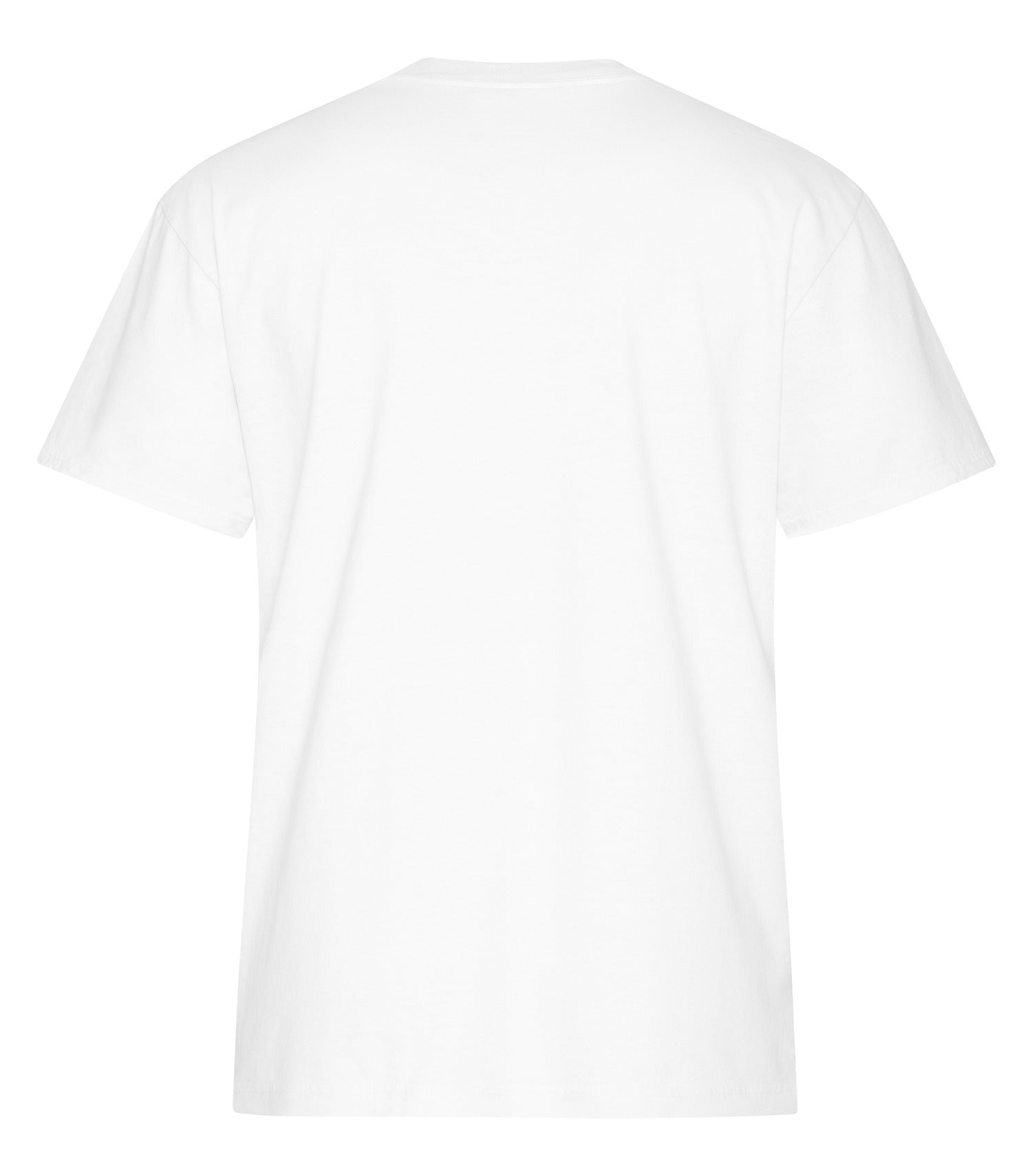 White-model Image
