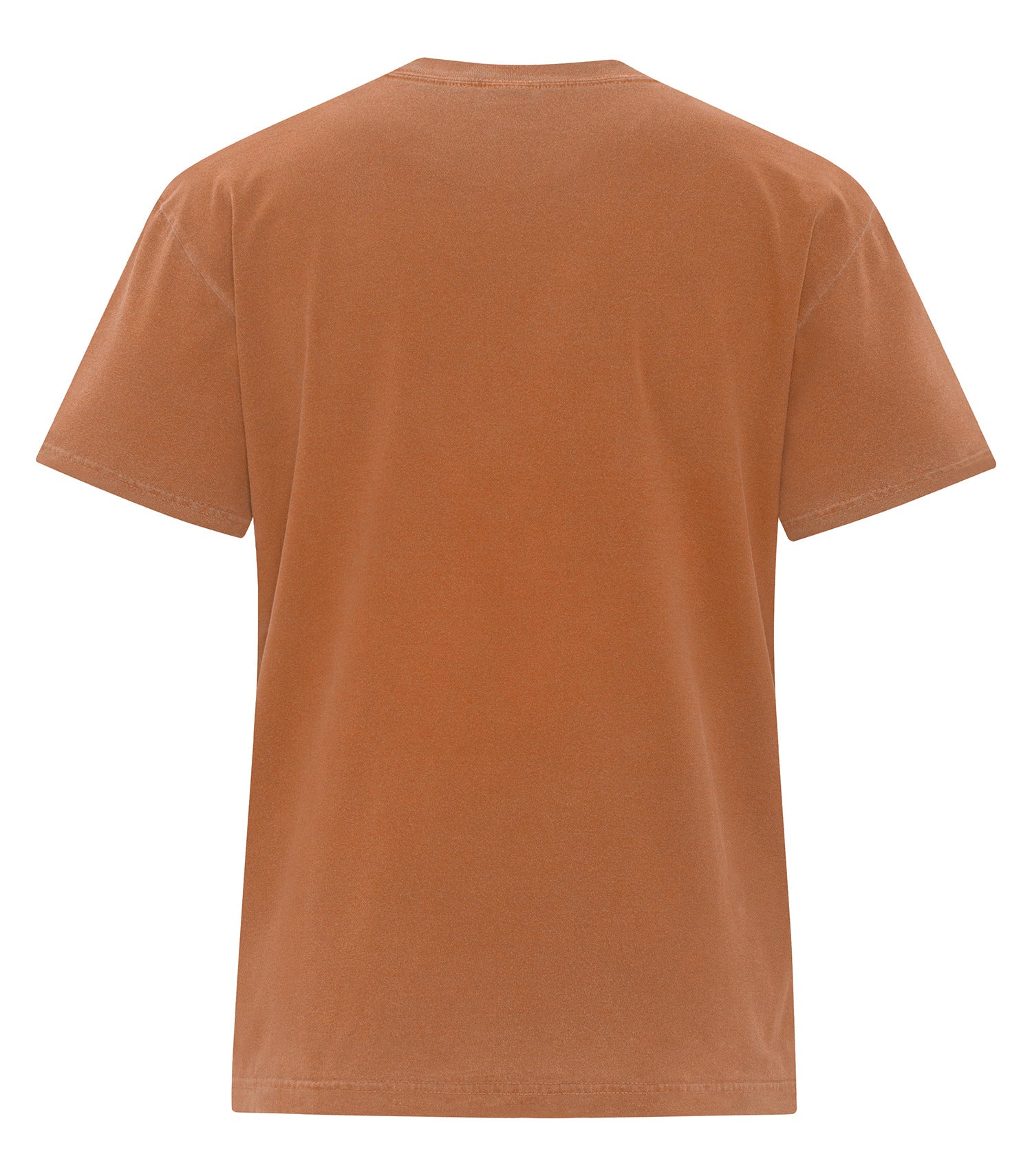 Yam-model Image