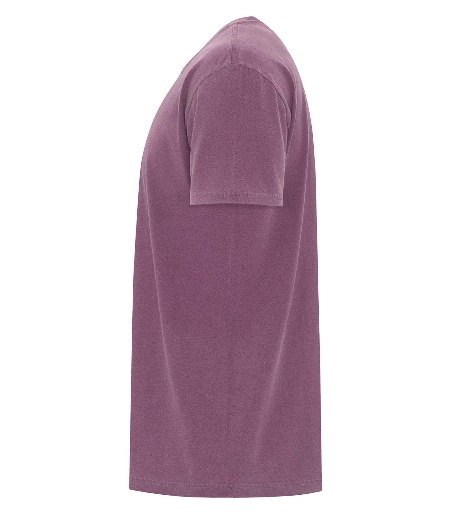 Berry-model Image