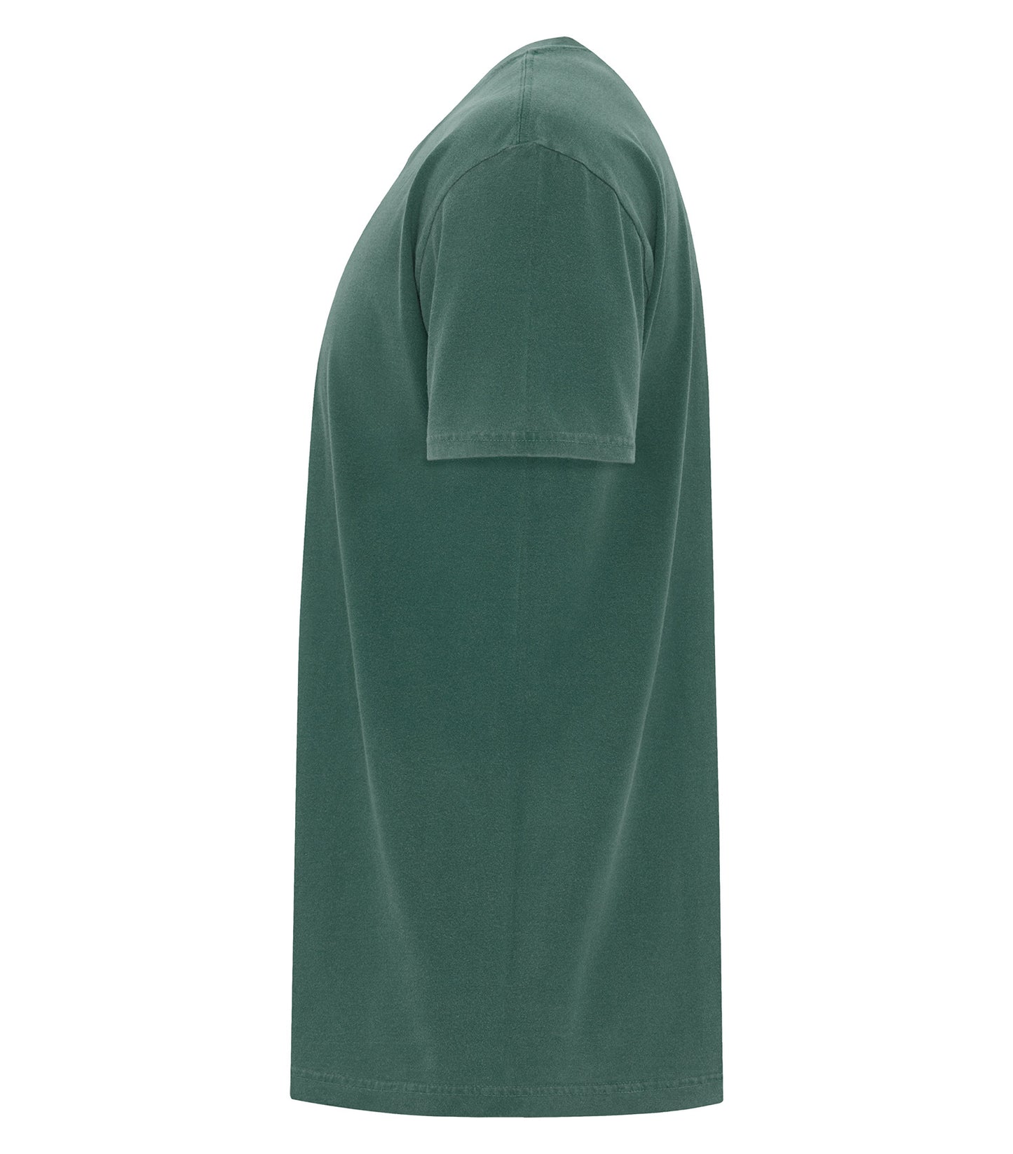 Blue Spruce-model Image