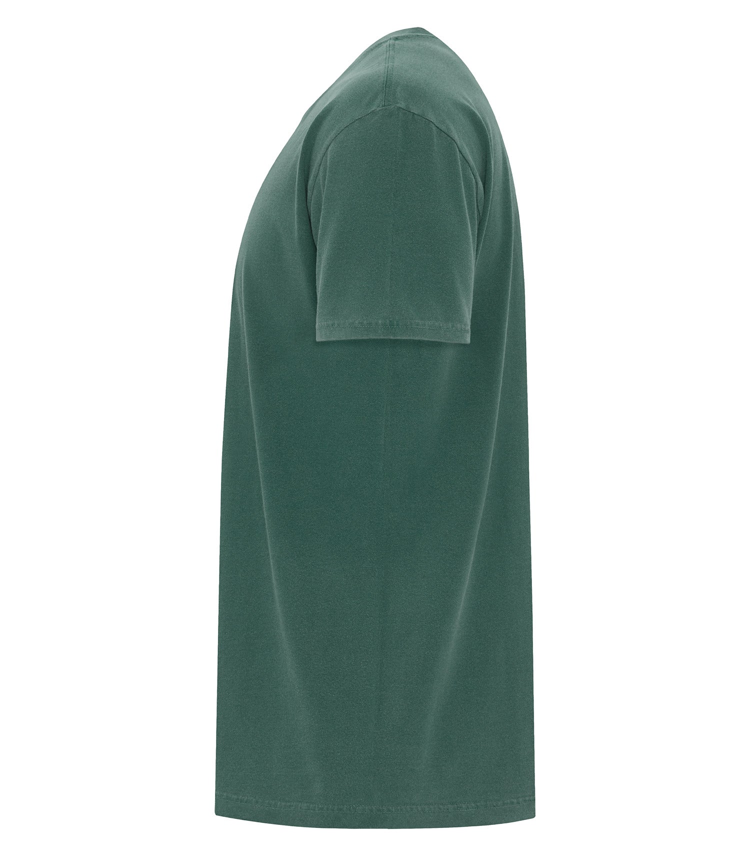 Blue Spruce-model Image