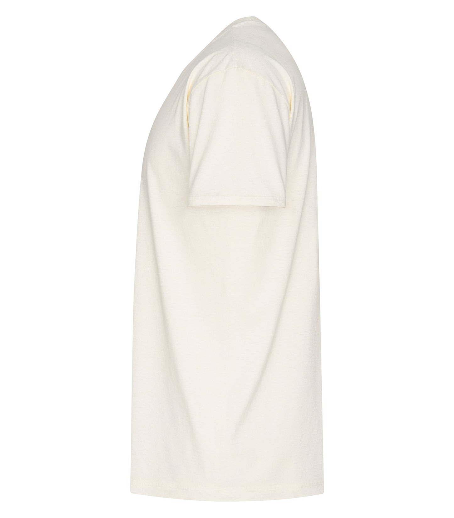 Ivory-model Image