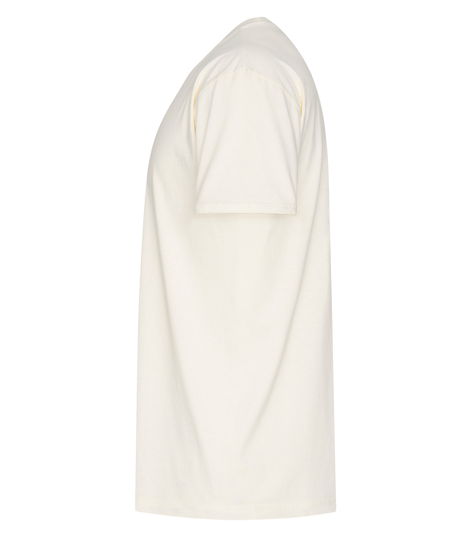 Ivory-model Image