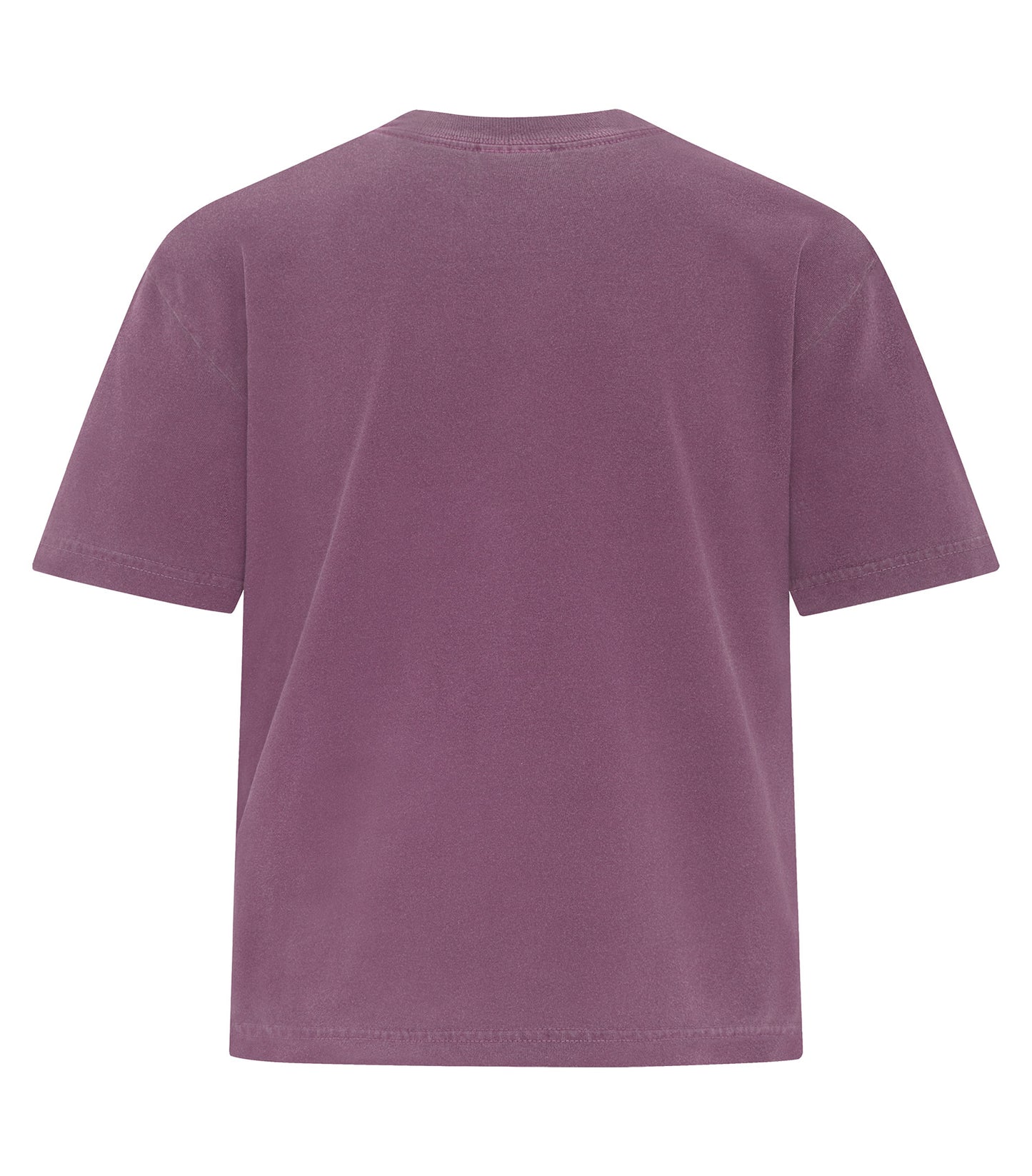 Berry-model Image