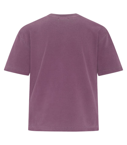 Berry-model Image