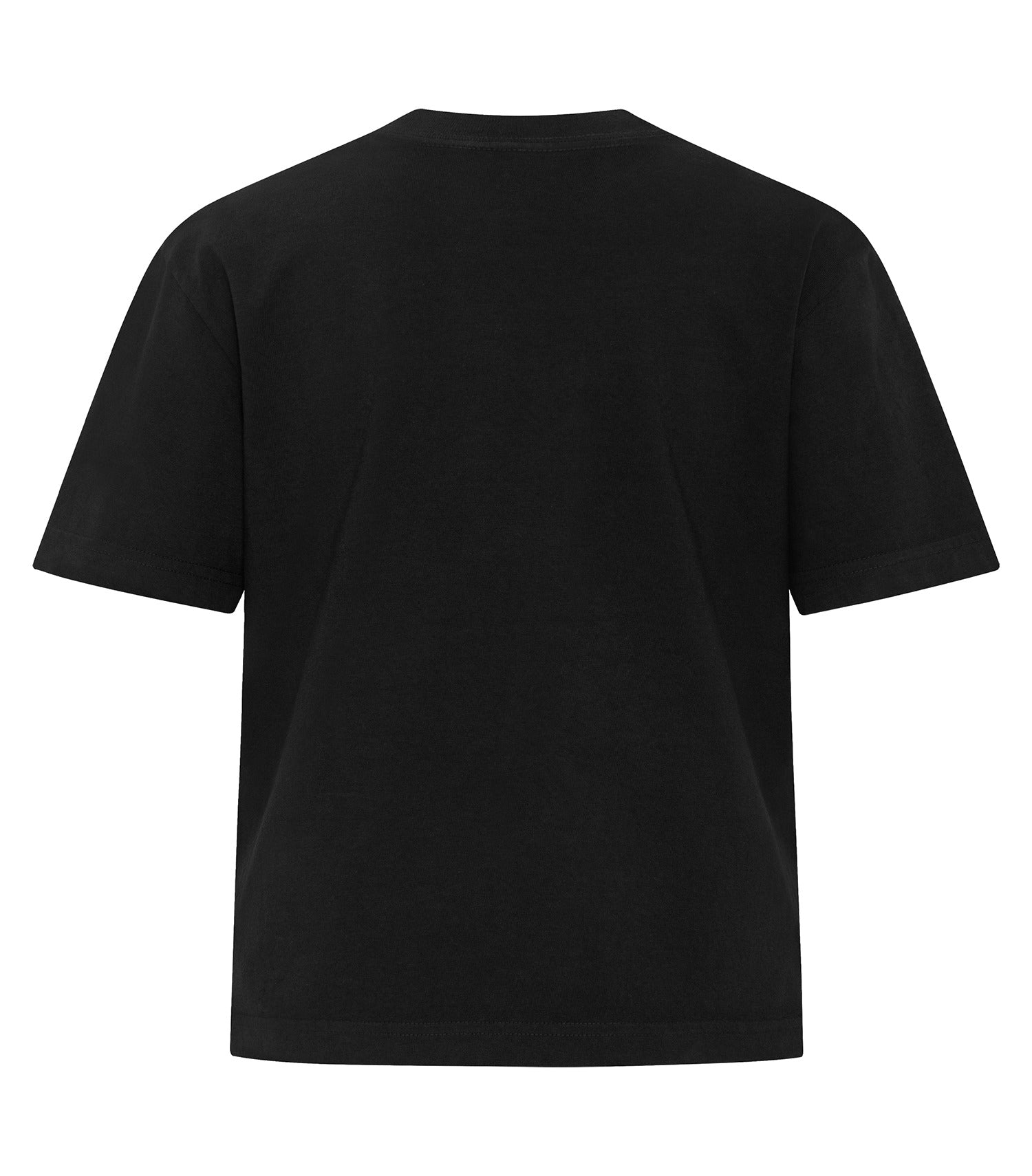 Black-model Image
