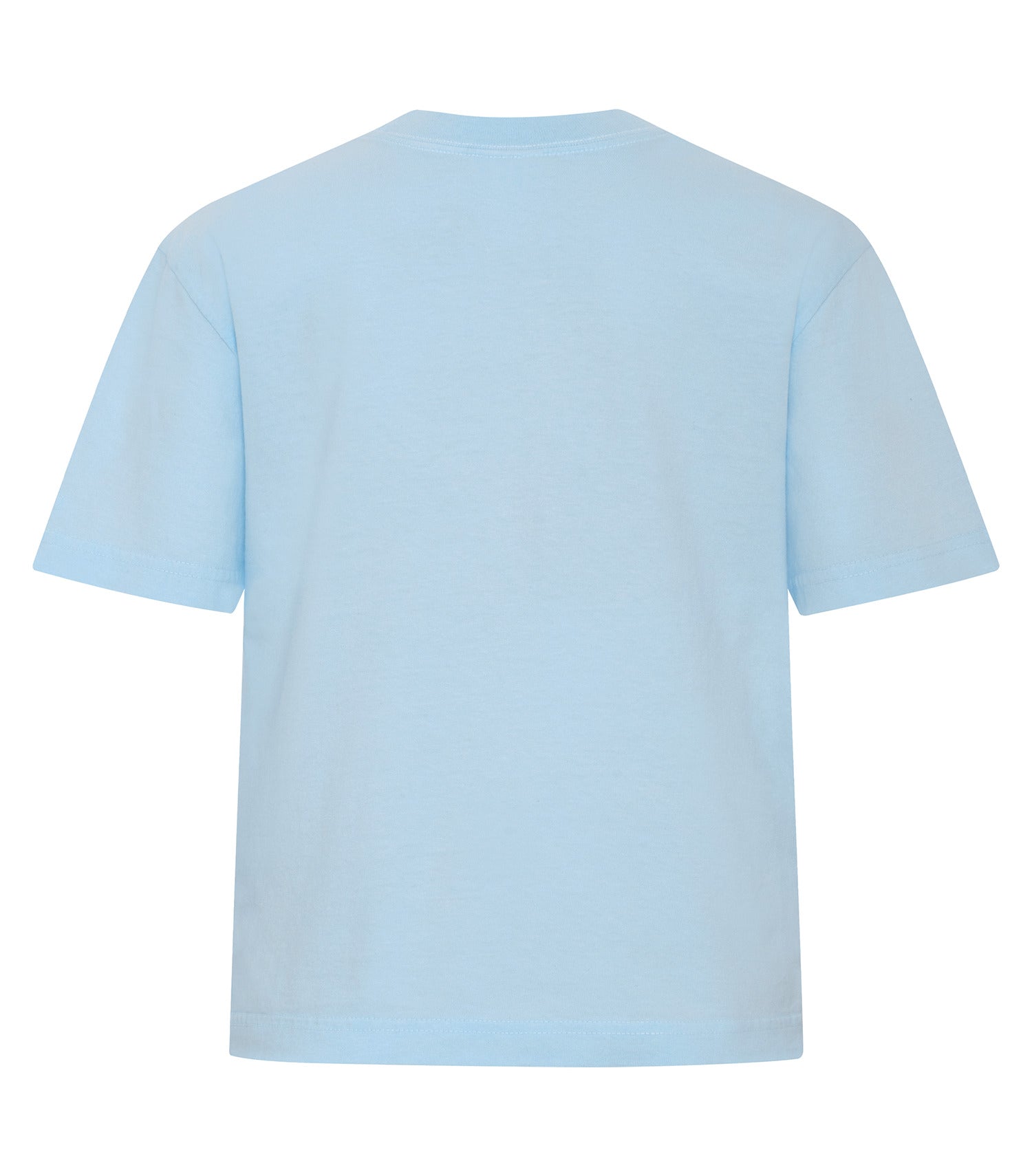 Chambray-model Image
