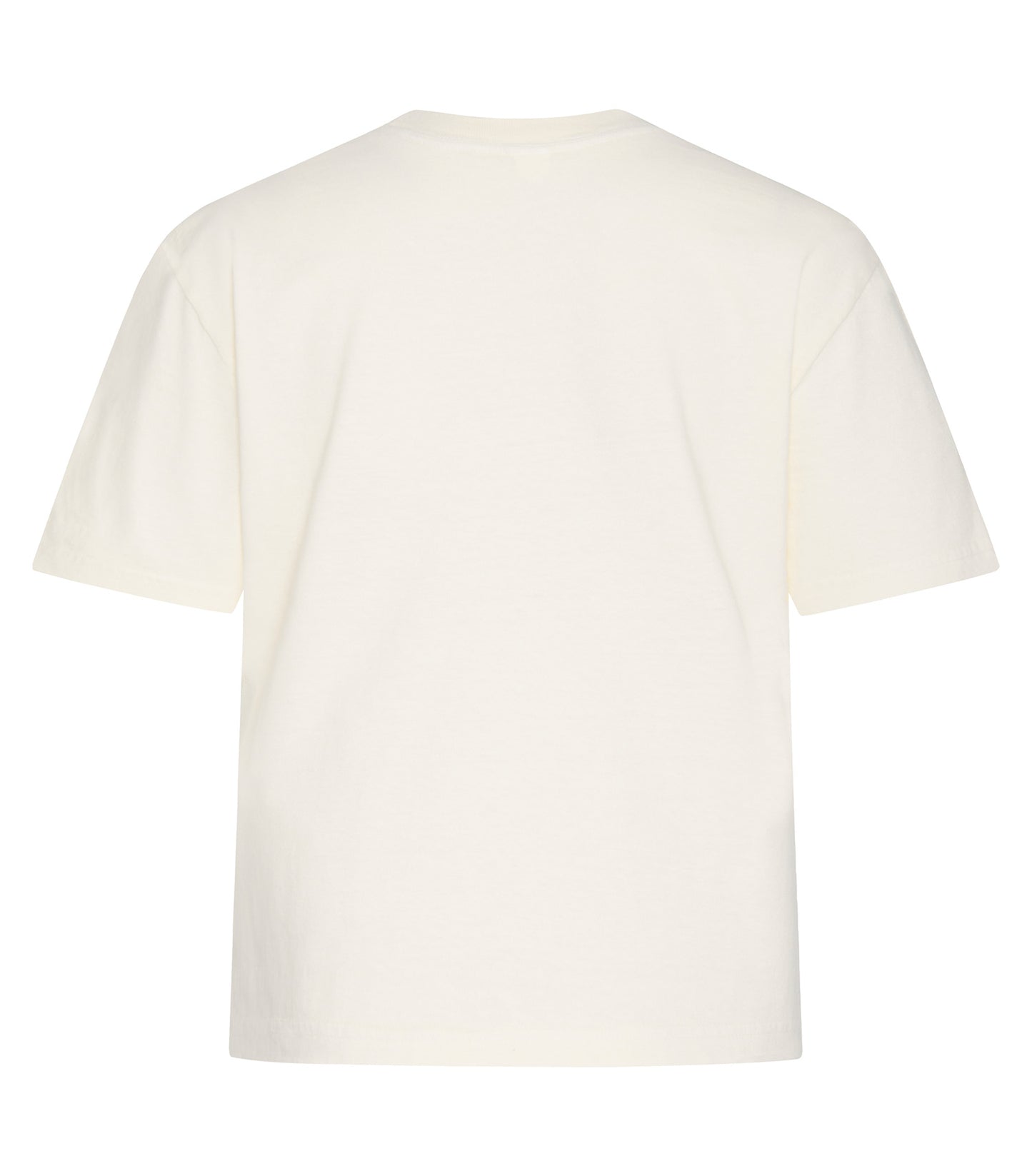 Ivory-model Image