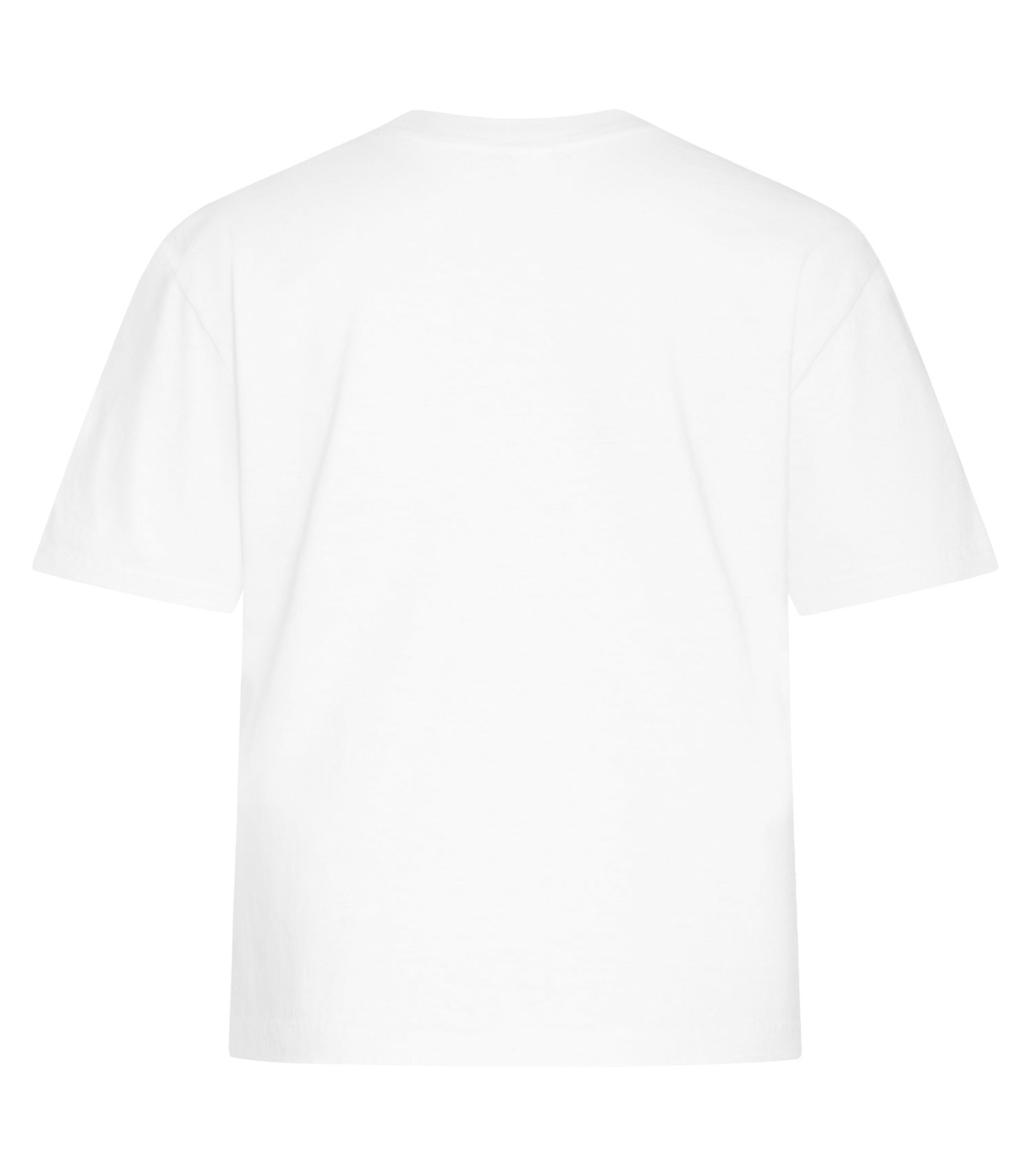 White-model Image