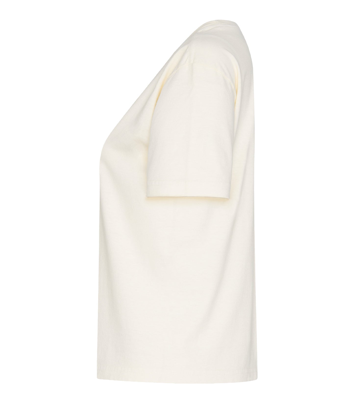 Ivory-model Image