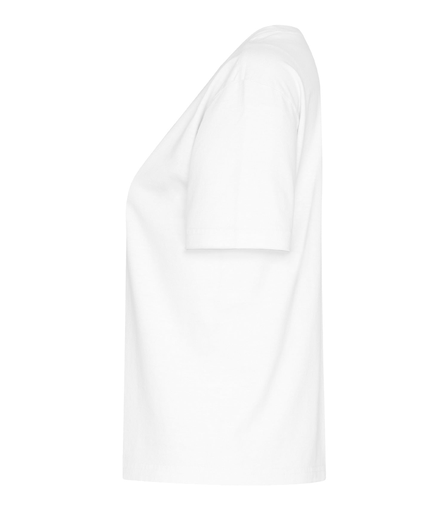 White-model Image