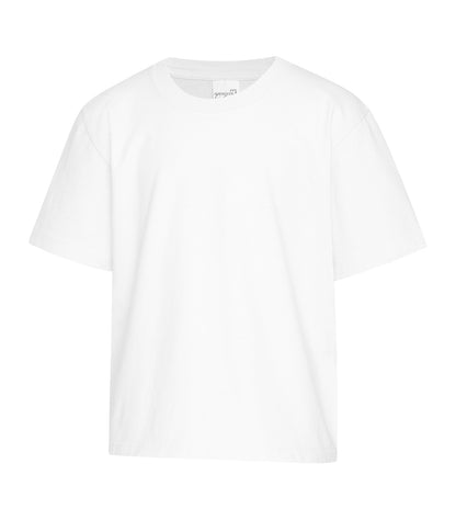 White-model Image