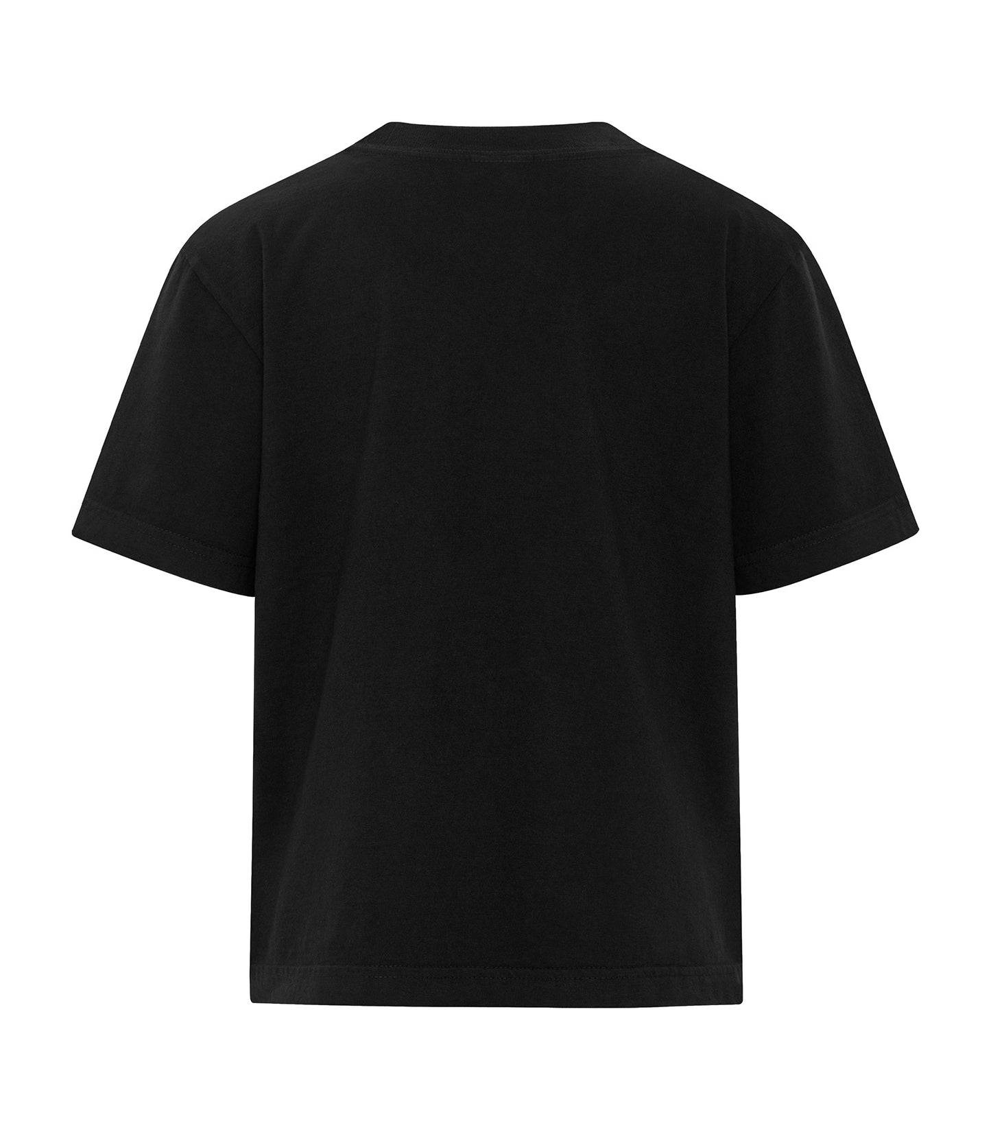 Black-model Image