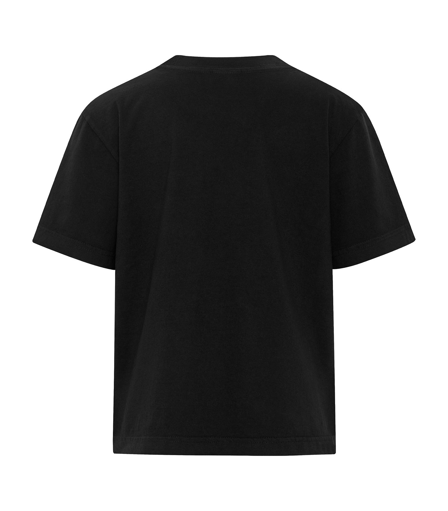 Black-model Image