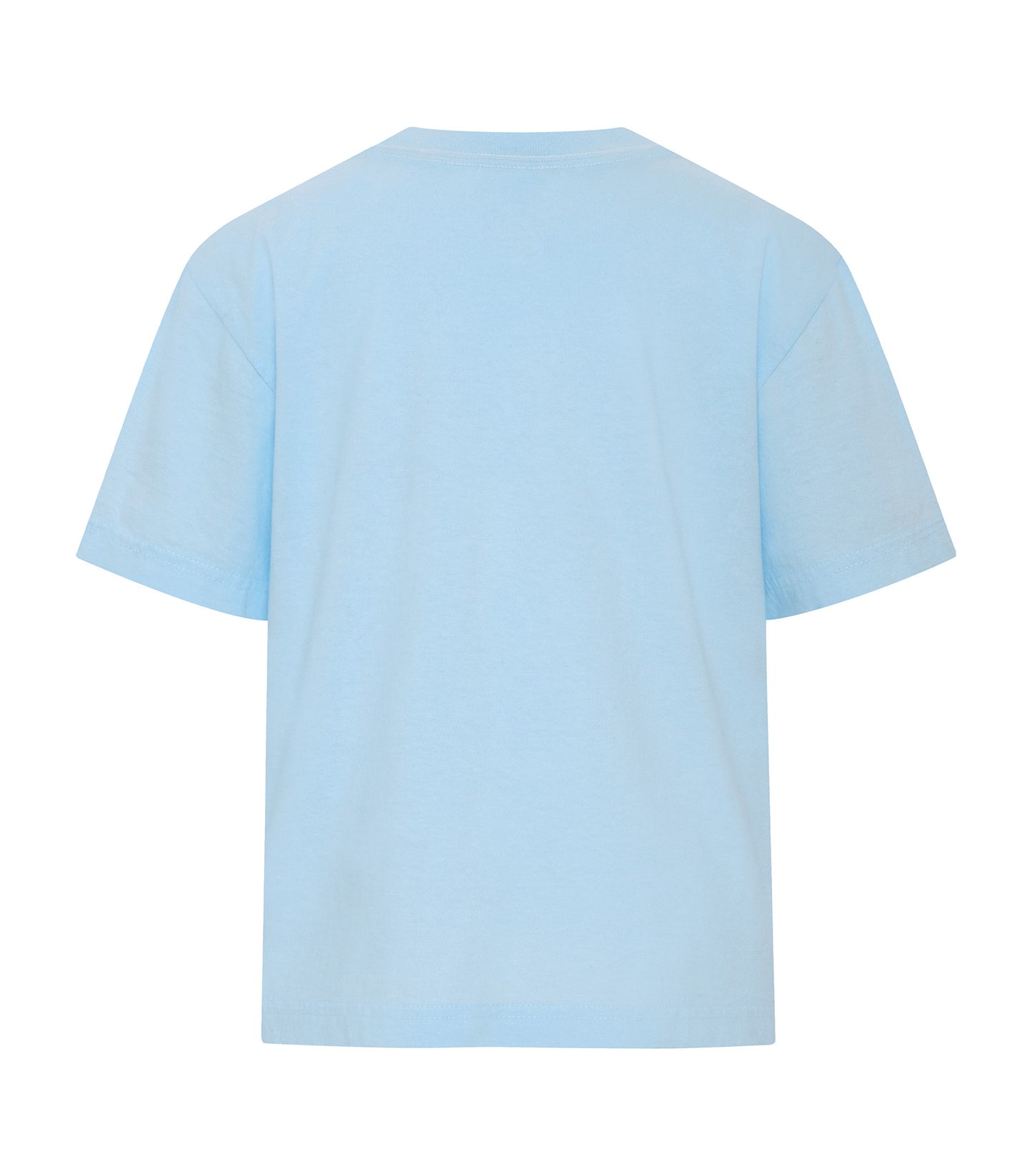 Chambray-model Image