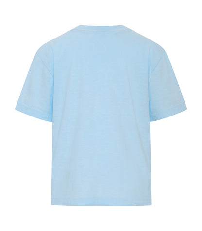 Chambray-model Image
