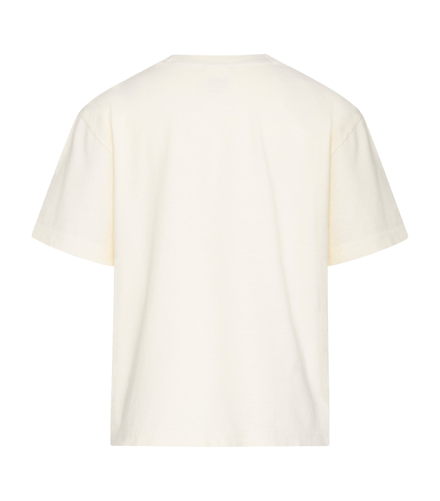 Ivory-model Image