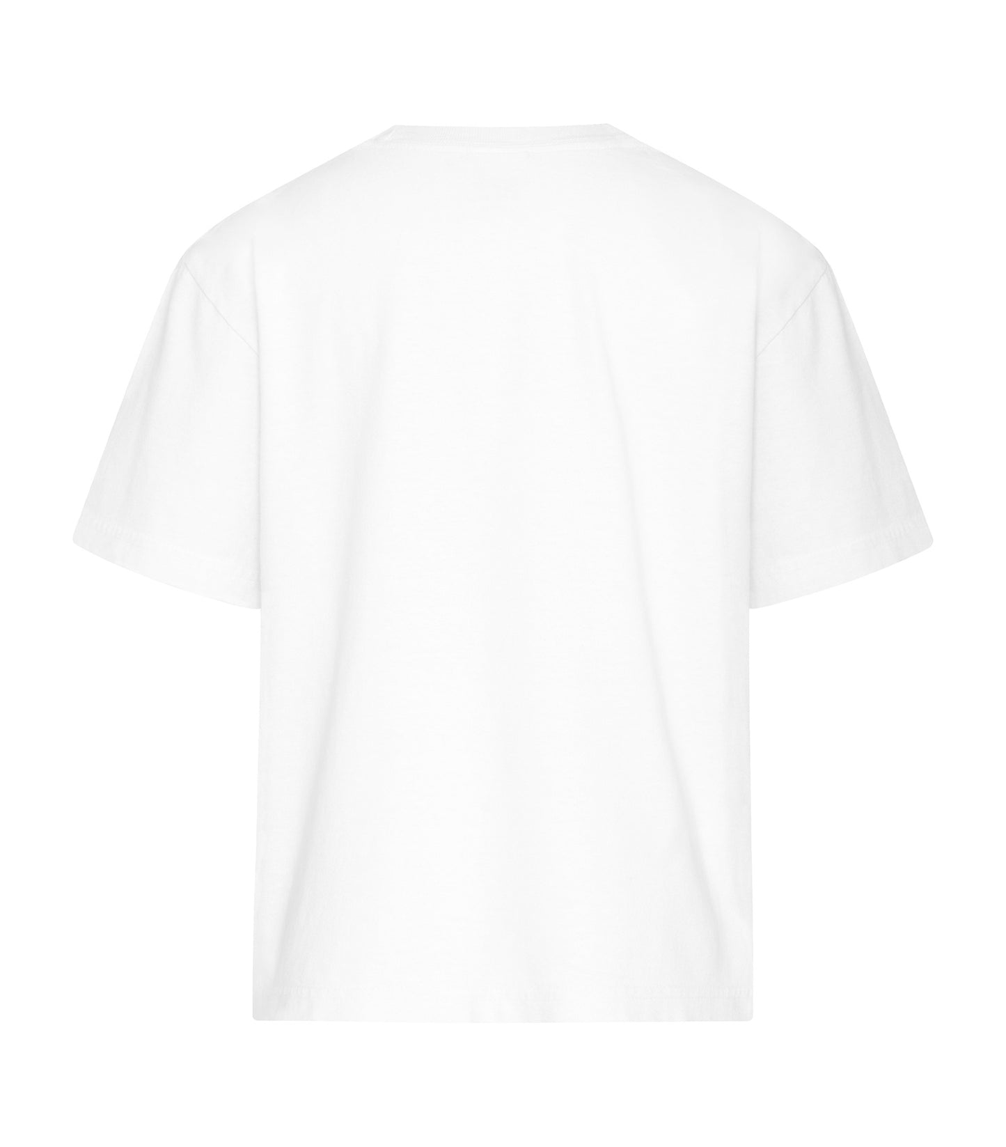 White-model Image
