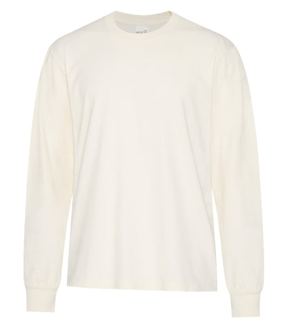 Ivory-model Image