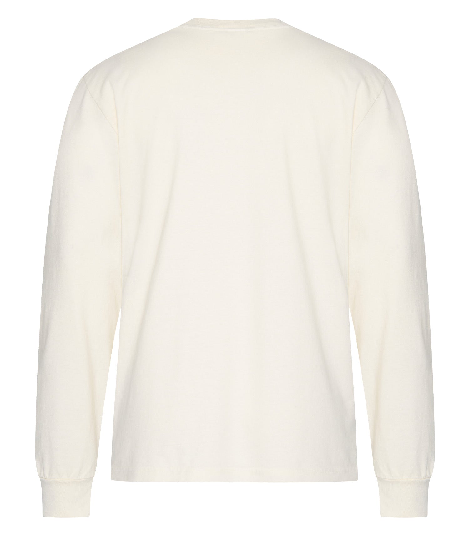 Ivory-model Image