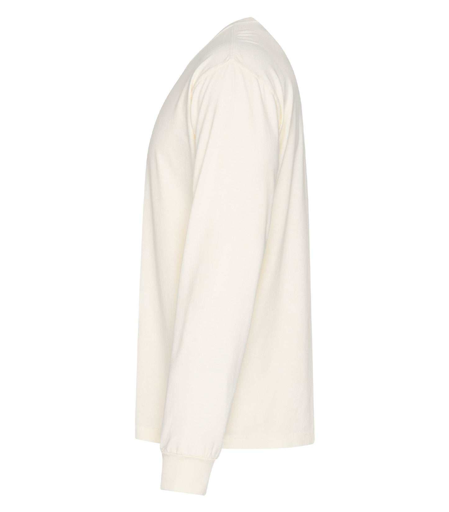 Ivory-model Image